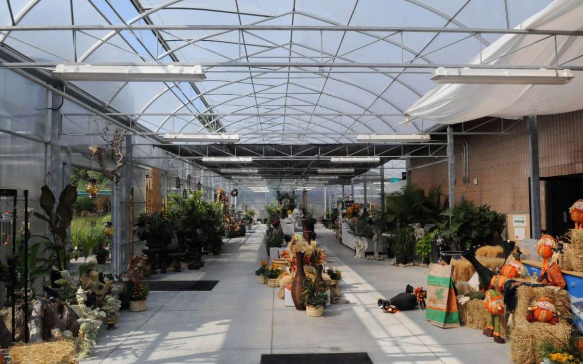 Shade Structure