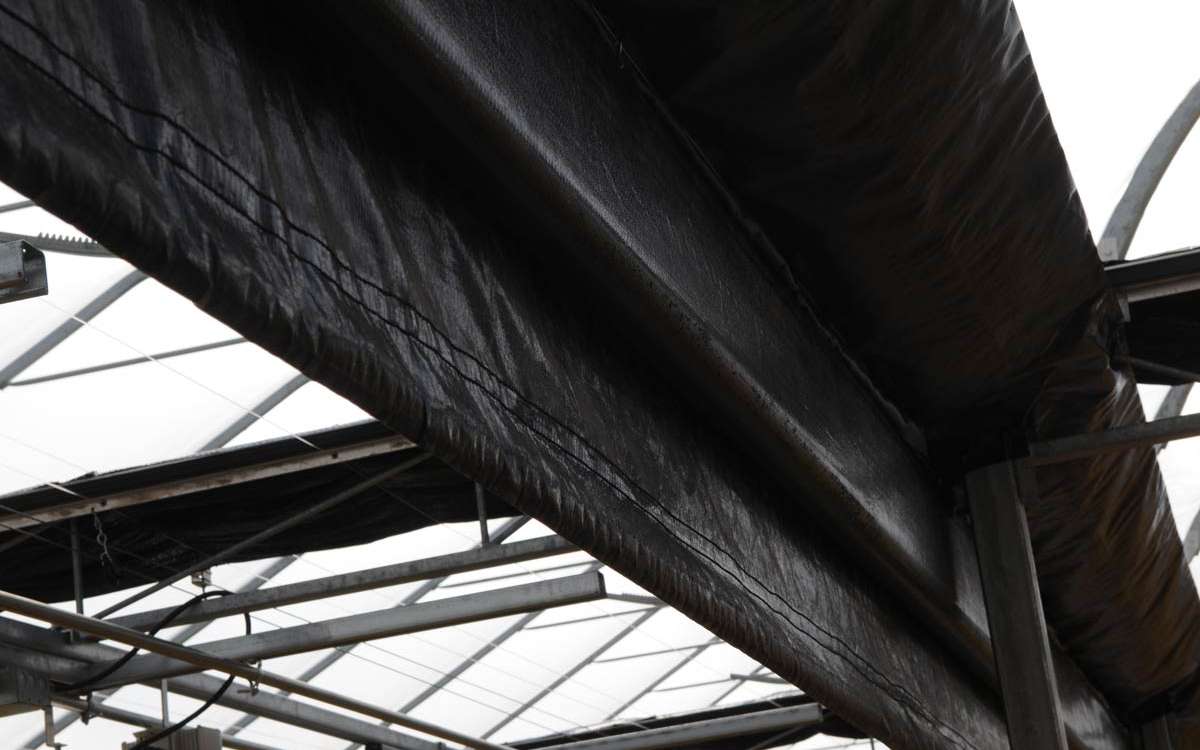 Shade Structure
