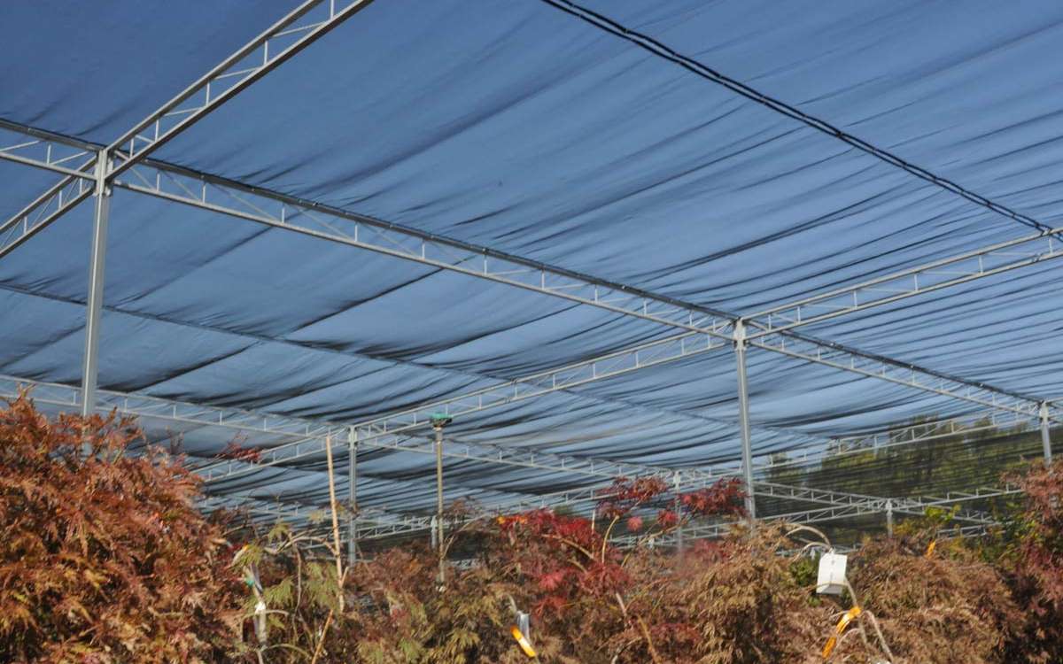 Shade Structure