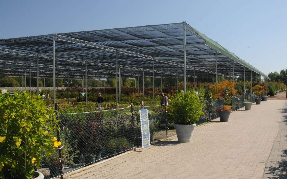 Shade Structure