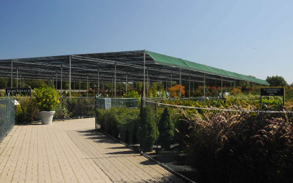 Shade Structure