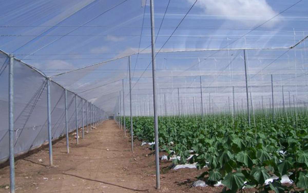 Shade Structure