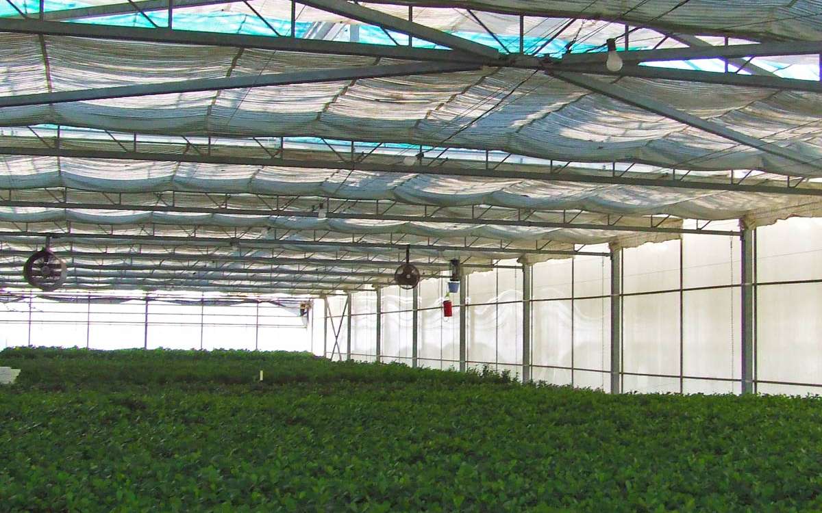 Shade Structure