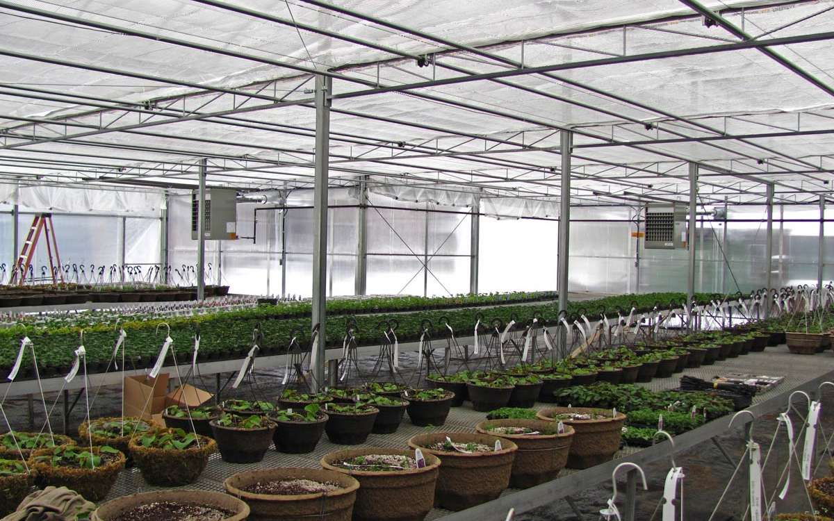 Shade Structure