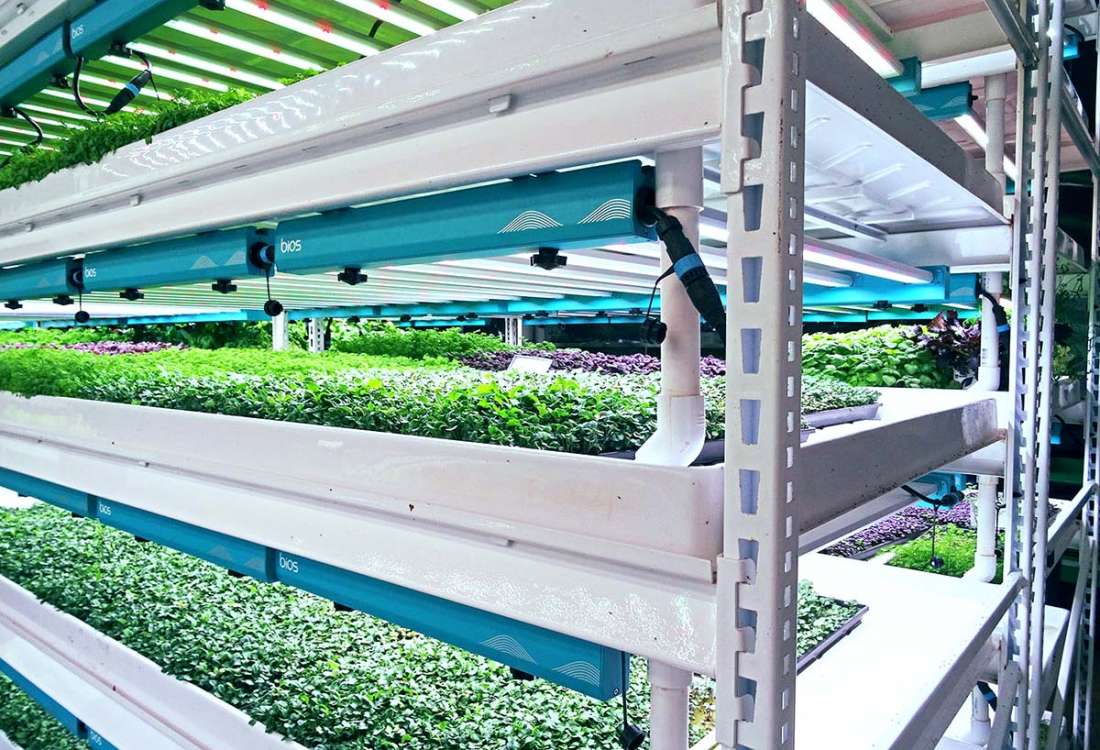 Vertical Growing