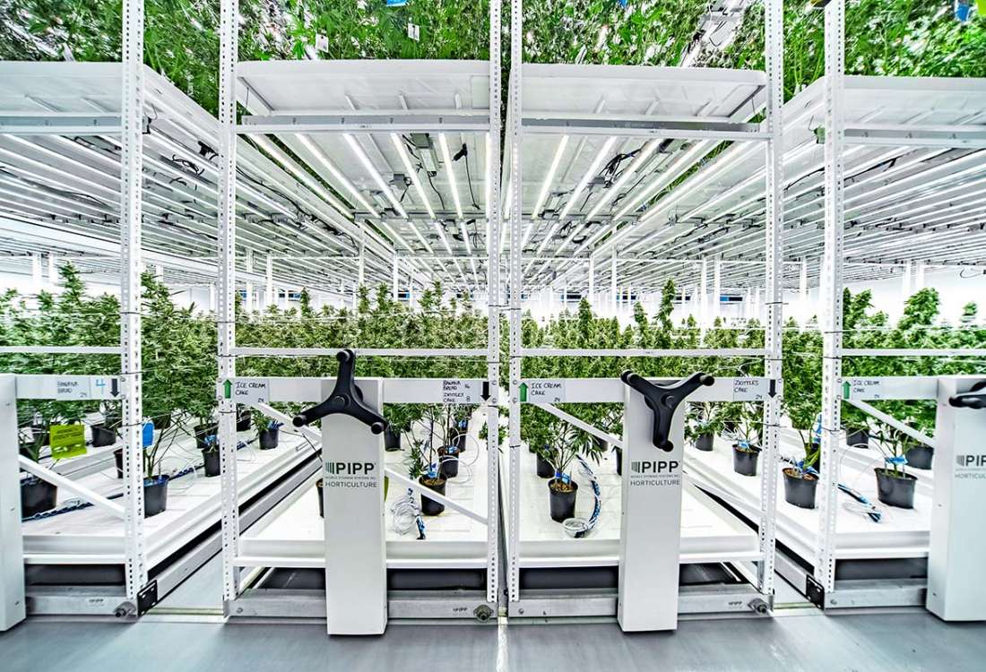 Vertical Growing System