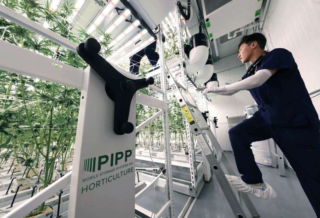 Vertical Growing System