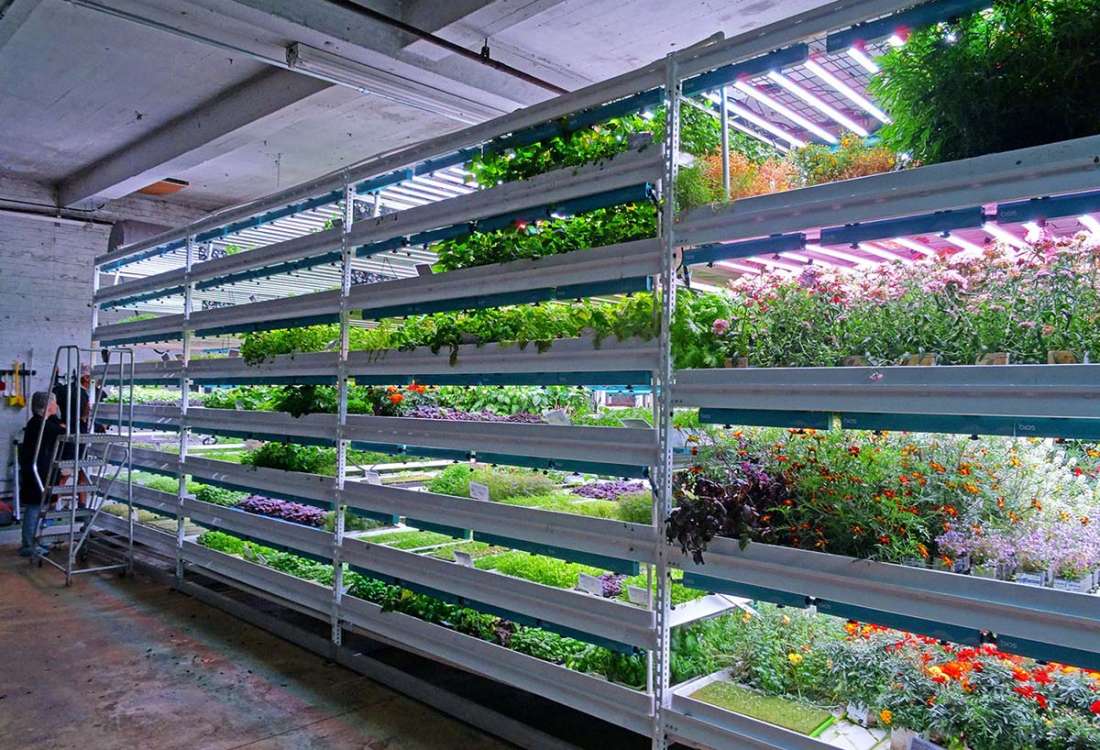 Vertical Growing System
